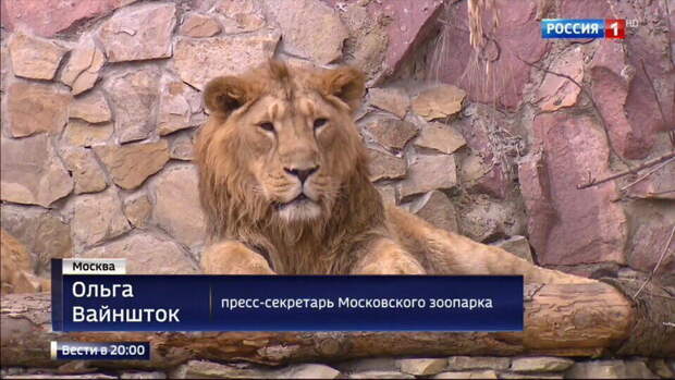 прикольные и интересные фото на pixmafia.com