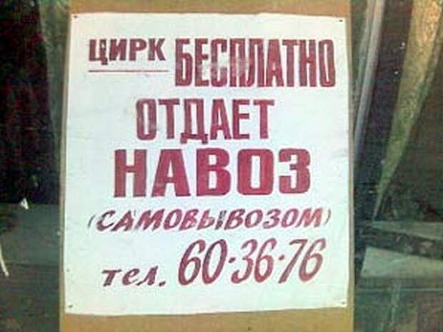 14. В 90-е годы одно из сельхозпредприятий Вологодской области попало под прицел журналистов со всего мира. Дело в том, что руководство этого колхоза выдавало своим работникам зарплату в виде навоза. история, факты, юмор