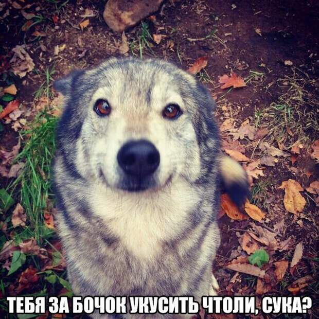 z1SN0g7EYk4