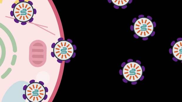 CRISPR SEND genetics gene therapy