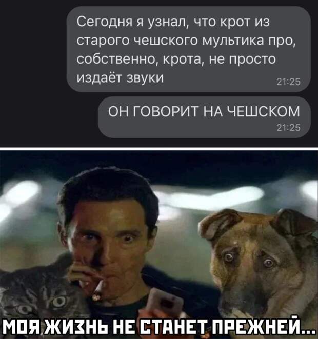 Смешные картинки 23 марта 2021 года