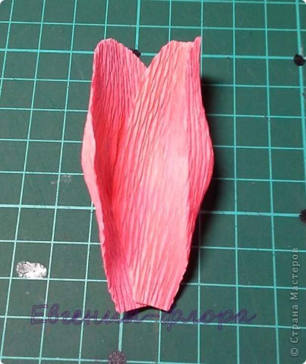 Мастер-класс Свит-дизайн Бумагопластика   дцать первый МК по розе Бумага гофрированная фото 18