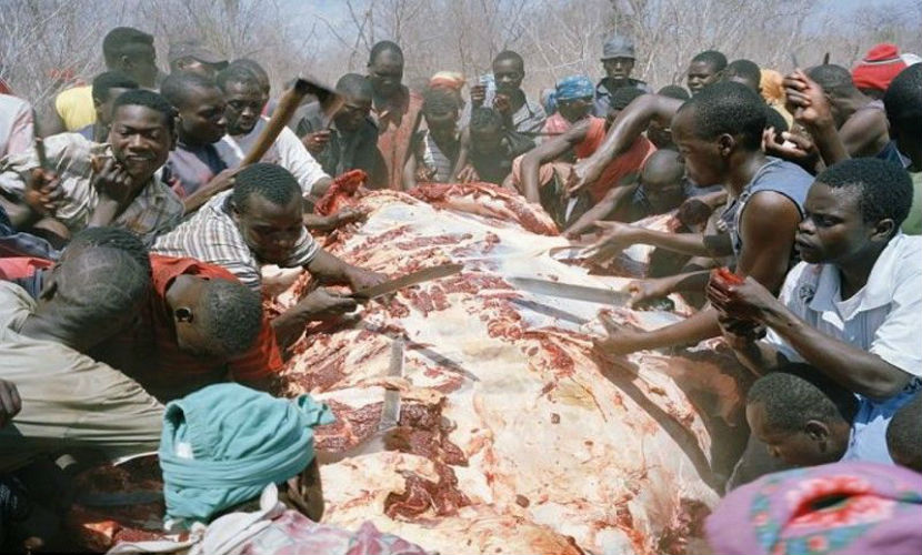 Zimbabve