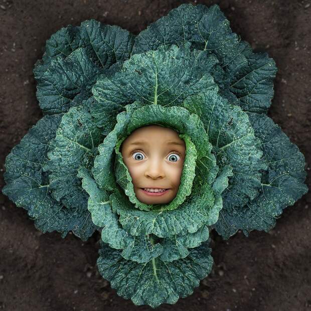 JohnWilhelm31 «Мои безбашенные дочки» — проект Джона Вильгельма