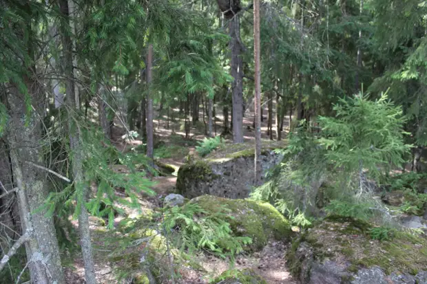 "Тянутся сосны в прозрачное небо, глыбы гранита заснули давно..." Парк Монрепо в Выборге