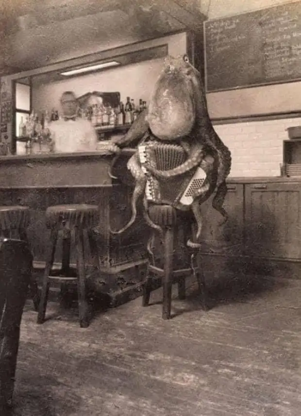 Воскресный юмор - лучшая подборка