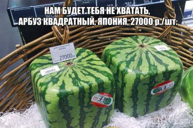 Прикольных картинок подборка (43 шт)