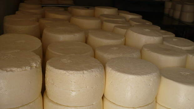 Роспотребнадзор Ростовской области выявил 4 предприятия с фальсификатами масла и сыра