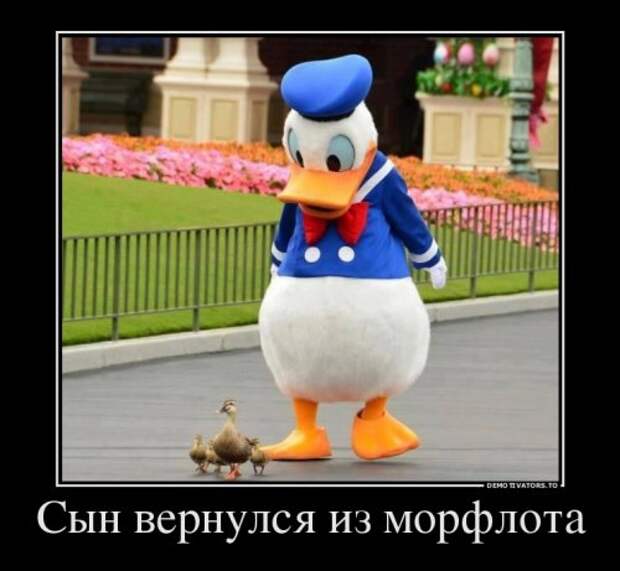 Сборник демотиваторов (18 шт)