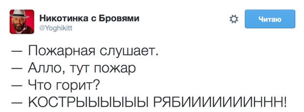 Интернет снова захлестнула волна шуток про 3 сентября 3 сентября, костры рябин, прикол, шуфутинский, юмор