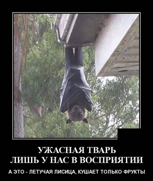 Демотиваторы (30 фото)