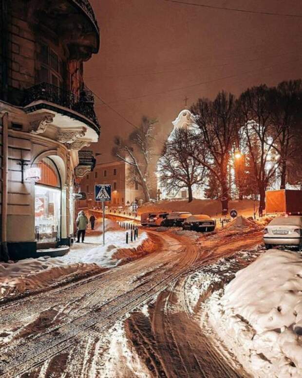 Львов засыпало снегом