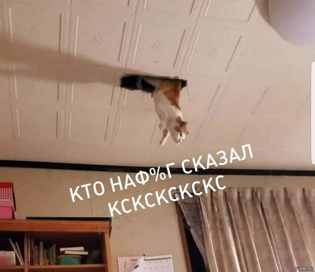 8b6e884c39bffc46fc026ff3f64ea6a6 (700x605, 254Kb)