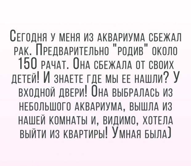 Приколы и мемы про "яжматерей"