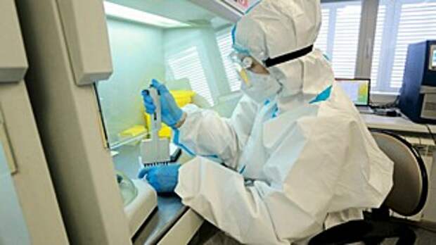 Коронавирус / Фото: amic.ru                          