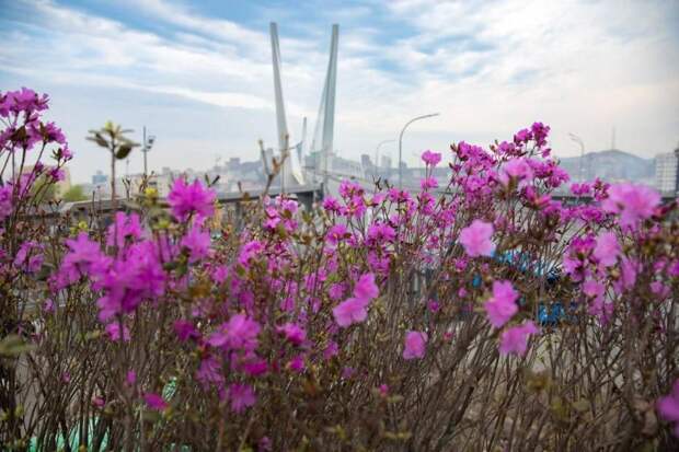 Майские праздники в 2026 году затронут двенадцать выходных
