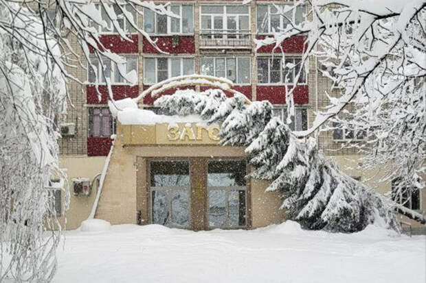 СКЖД: ж/д инфраструктура на Кубани полностью восстановлена после снегопадов