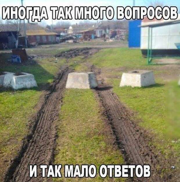 Картинки со смешными надписями (20 фото)