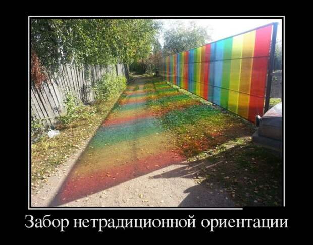 Демотиваторы (30 фото)