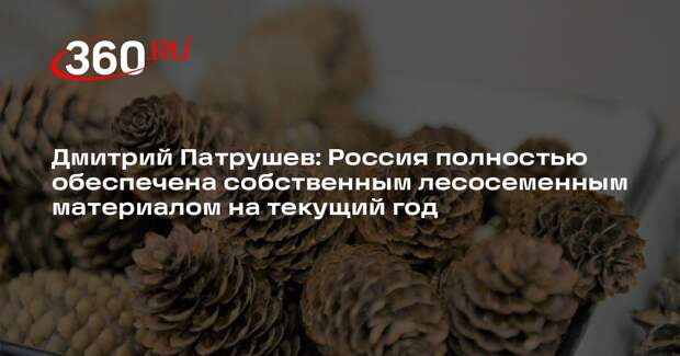 Дмитрий Патрушев: Россия полностью обеспечена собственным лесосеменным материалом на текущий год