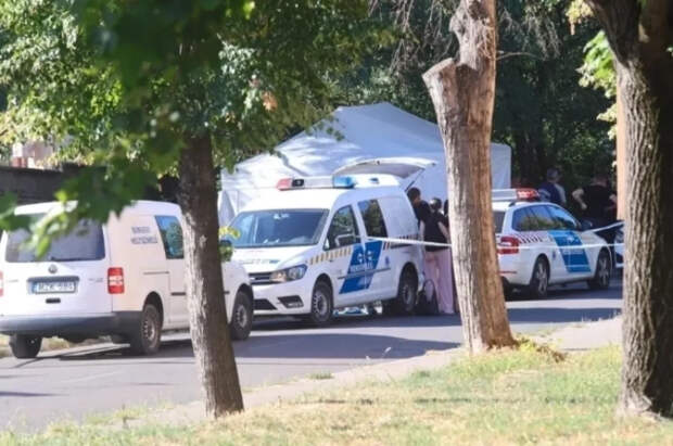 Пойманные в Венгрии инкассаторы Украины везли откаты лидерам ЕС