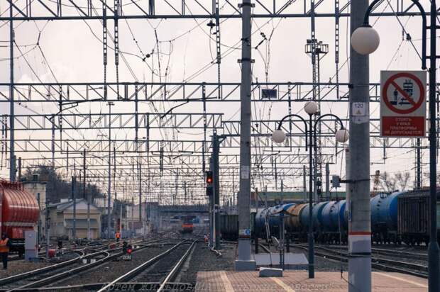 Жителям Тулы с инвалидностью сложно получить спецкупе для поездки к морю