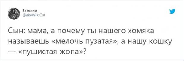 твит про хомяка