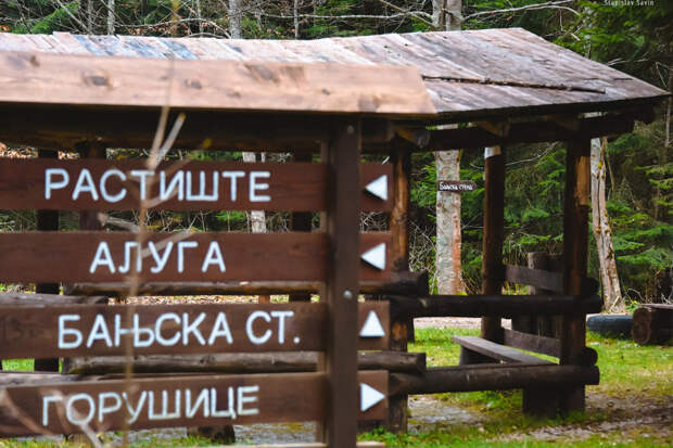 Парк Тара и Мокра-гора