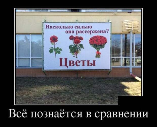Прикольные демотиваторы для хорошего настроения (11 фото) Прикольные демотиваторы для хорошего настроения (11 фото)