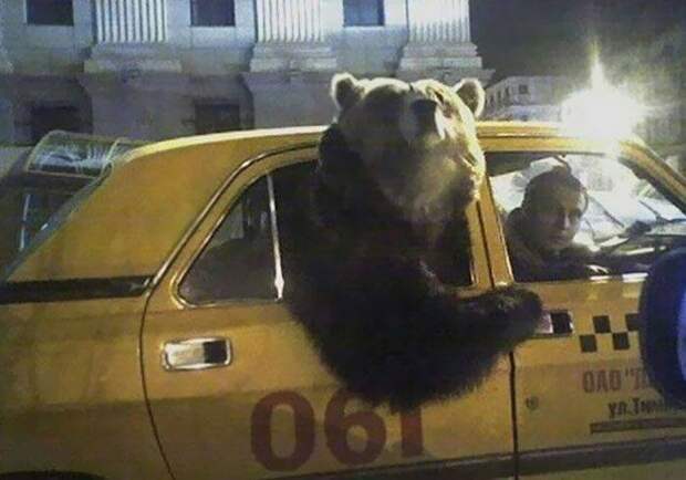 Подборка прикольных картинок