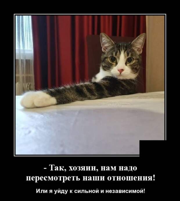 Демотиваторы (20 фото)