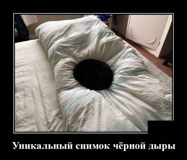 demotivatory-demotivator-smeshnye-demotivatory-demotivator-so-smyslom