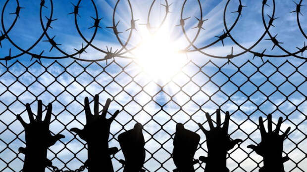 Что потеряли латыши, воюя с Россией? Панкратов перечислил по пунктам