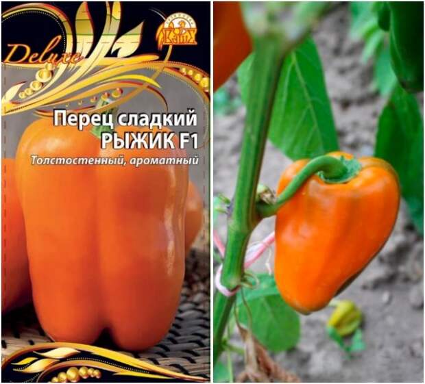 перец рыжик