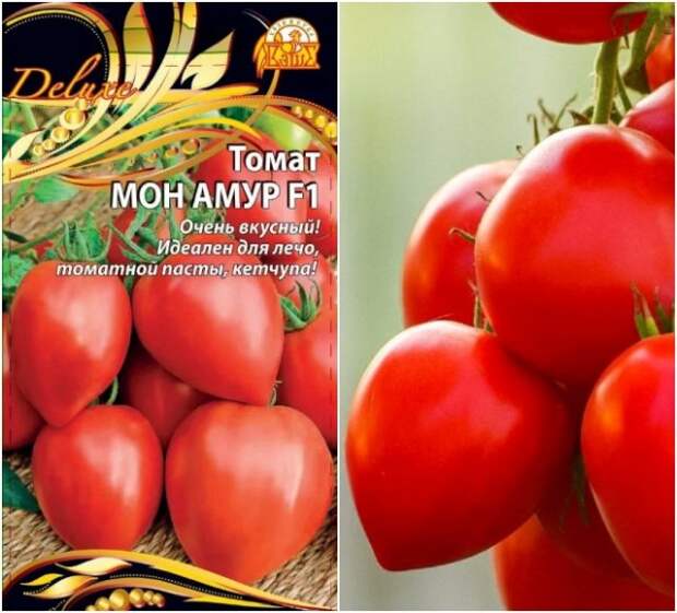 томат мон амур