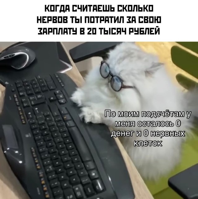 Смешные картинки 22 июля 2021