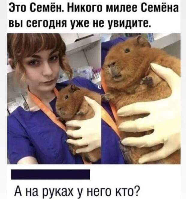 Лучшие шутки и мемы из Сети
