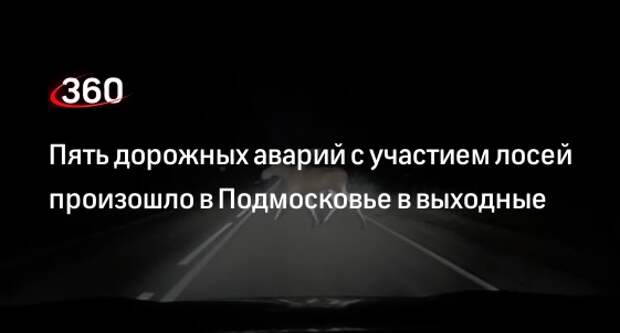 Пять дорожных аварий с участием лосей произошло в Подмосковье в выходные