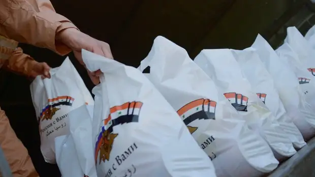 Россия доставила в Сирию 1775 тонн гуманитарной помощи за год