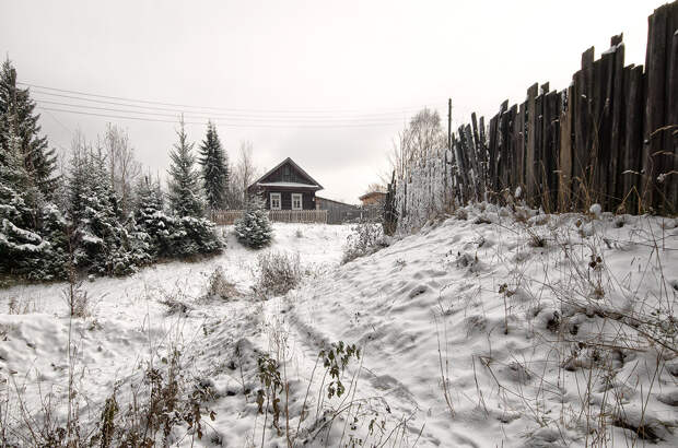 У нас в деревне выпал снег. Делюсь красивыми кадрами.