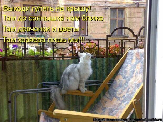 Мысли вслух :)