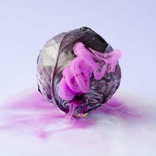 02-red_cabbage_1527_01