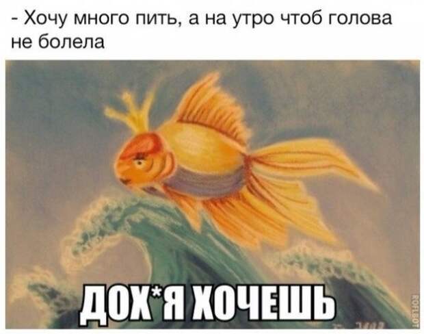 Смешные и не очень