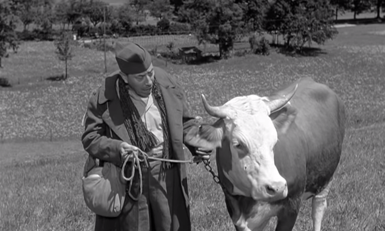 Картинки по запросу «La vache et le prisonnier»