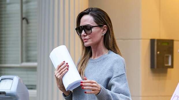 Инвестиционная компания Анджелины Джоли официально обвинила Питта в мошенничестве