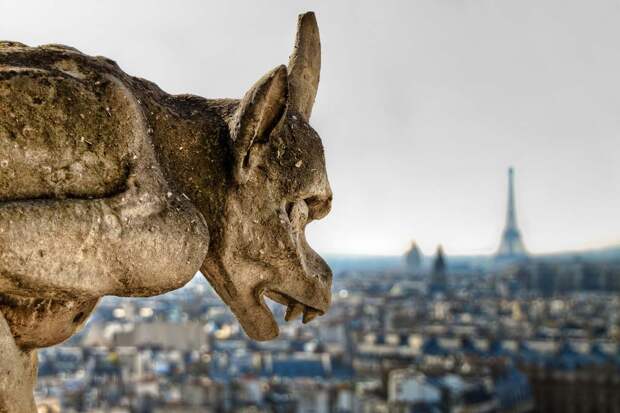 Гаргульи Gargoyles 1 Гаргульи в фотографиях