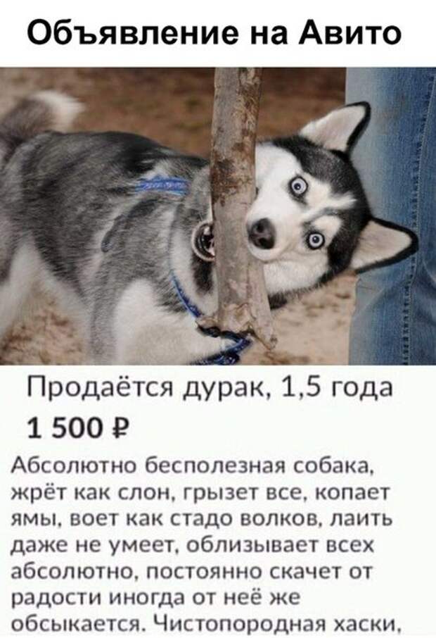 всякостей тут