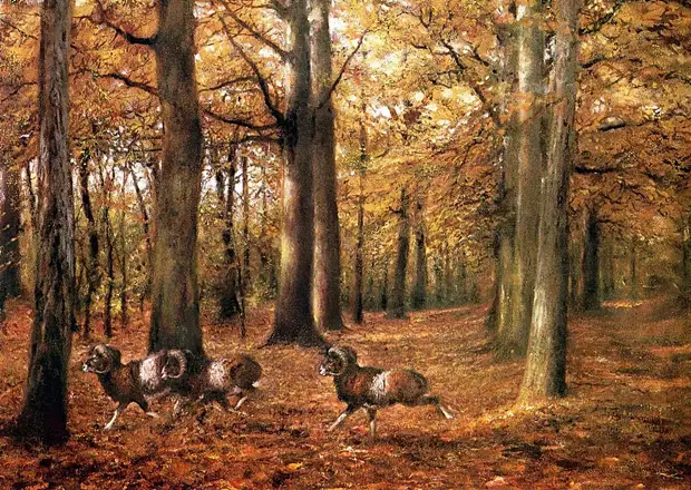 �������� ��� ���������.