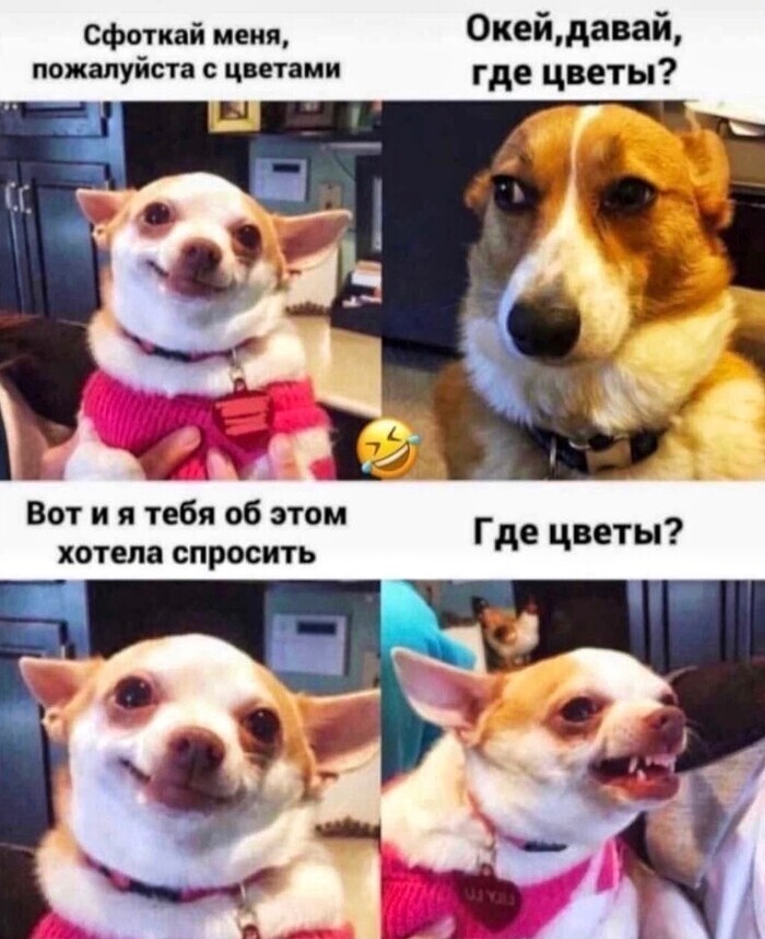 Когда твоя девушка - это настоящий мастер намеков Когда твоя девушка - это настоящий мастер намеков