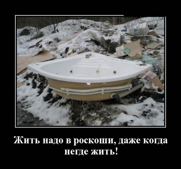 Демотиваторы (30 фото)